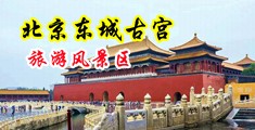 欧美超级大鸡巴狂曹嫩逼逼中国北京-东城古宫旅游风景区